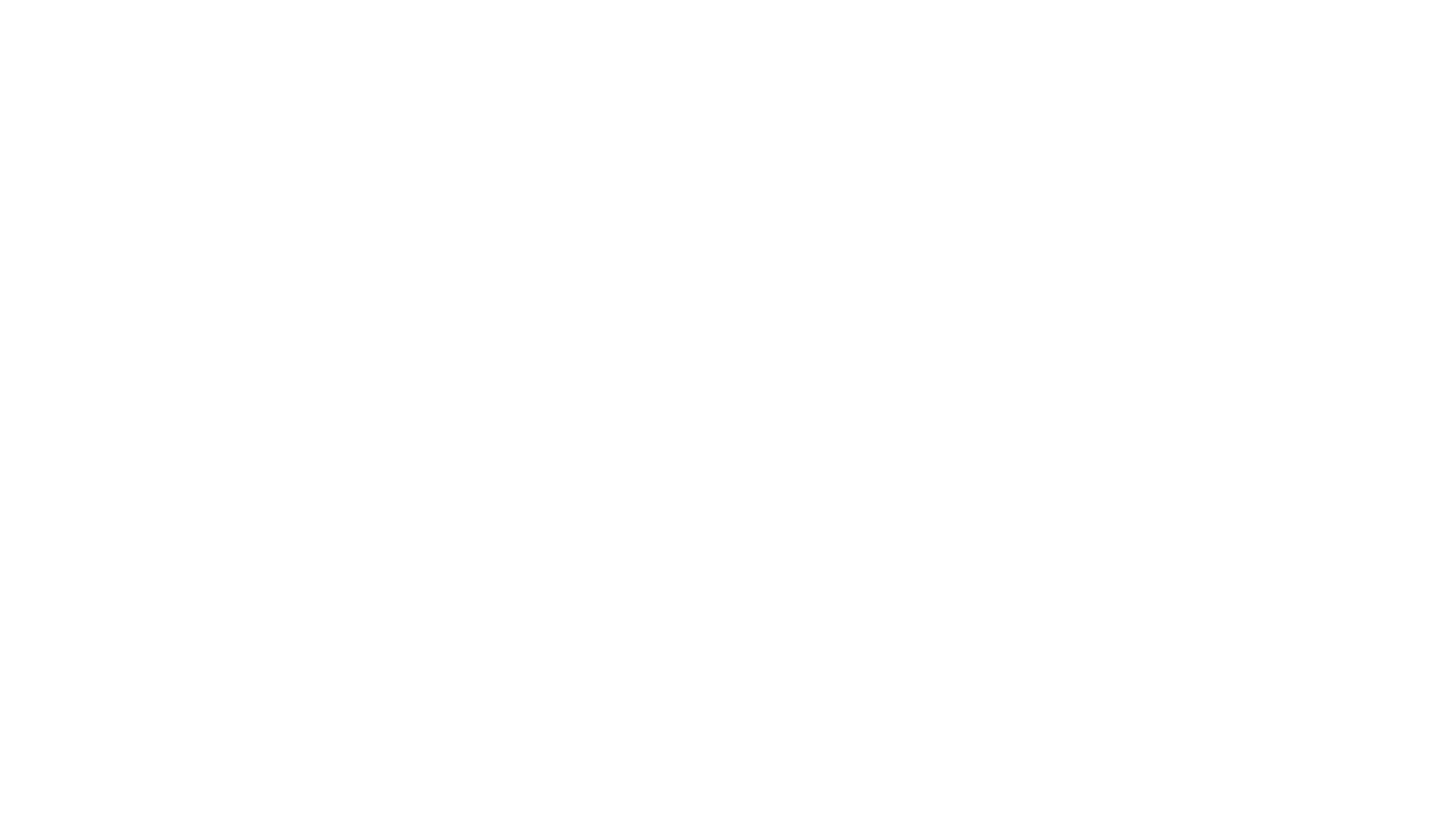 Dianamic_Logo Inverse Transparent